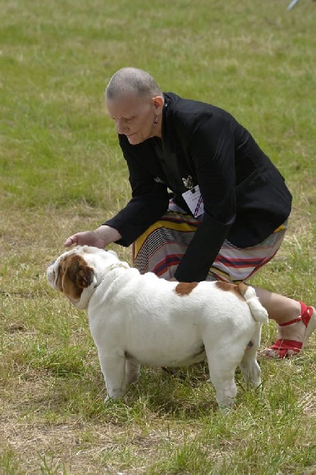 du Chien Beauté - jive ( monterey diamond ) fait le cacs = bob a  Jarnac 2016